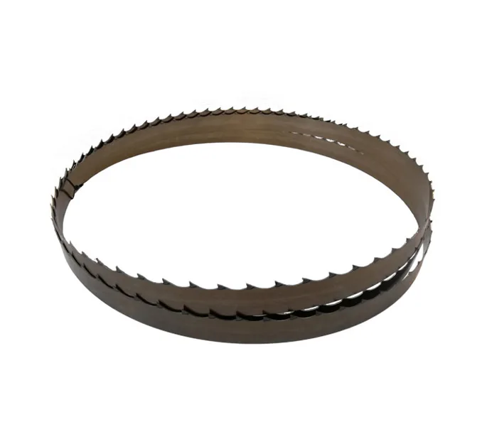 Pilový pás Legnex MASTER 4140x40x1,0 - 22,23